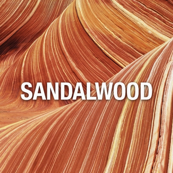 WINGS By Giorgio Beverly Hill For Women's - Picture 2 of 6